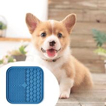 Pet Training & Puzzle Toys - 橘色 - 查看 8