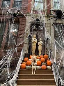 20g/gói Mạng nhện Halloween dùng trang trí sân vườn ngoài trời & tiệc tùng, đạo cụ trang trí nhà cửa & tiệc tùng, Mạng nhện tạo không khí ngôi nhà ma ám, đồ trang trí không khí lễ hội mùa thu, giáng sinh - Nhiều màu - Xem 8