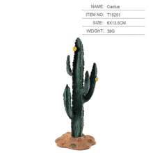 桌面微景觀模擬沙盤植物仙人掌模型，沙漠綠植含有猴麵包樹和圓葉仙人掌 - 彩色 - 查看 12