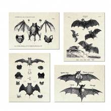 4 piezas Pósters de arte de anatomía de murciélago gótico vintage de terror: el regalo perfecto para los fanáticos góticos de Halloween y vampiros - Negro - Ver 12