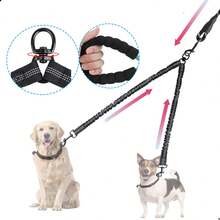 Pet Collars, Leashes & Harnesses Sets