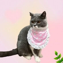 1 Khăn Chảy Nước Dãi In Hình Hoạt Hình Cho Thú Cưng Mềm Mại Và Thoải Mái Chống Bẩn Dễ Dàng Làm Sạch Cổ Ren Phối Ren Thích Hợp Cho Mèo Nhỏ, Vừa Và Lớn Và chó Nhỏ Và Vừa Tất Cả Các Mùa JD31 - Nhiều màu - Xem 1