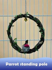 1入組鸚鵡架，鳥類棲息架，鳥類搖擺，鸚鵡架，鸚鵡棲息架，鳥類棲息支架，鳥類玩具，鸚鵡玩具 - 綠色 - 查看 3