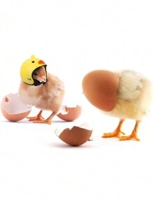 1pc Chicken Helmet, Bird Helmet Accessory, Cartoon Fun Adjustable Chicken Head Protection Helmet Suitable For Small Pets Such As Chickens And Birds - Multicolor - View 4