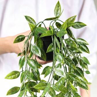 1 件人造悬挂花盆，绿色仿桉树藤蔓和曼陀罗藤蔓，适用于室内/室外装饰家居、房间和架子、情人节、礼物