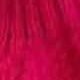 Rosa Fucsia