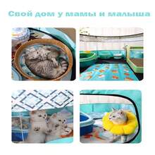 Foldable Pet Tent Enclosed Cat Breeding Tent - Multicolor - View 4