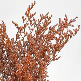 1/2 Bukett Naturligt Konserverade Blommor - Blomsterarrangemangskonst, DIY-pyssel, Bröllopsdekor, Heminredning, Festbordsvas Trädgård, Kontorsbröllop Hempresenter, DIY Krans Blommor