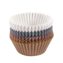 Birthday Party Multicolored Cupcake Liners