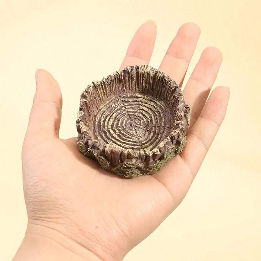 Pet Food & Water Bowls, Reptile Enclosure, Landscape Turtles, Lizards