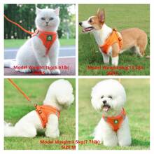 1套寵物胸甲和牽繩,柔軟網眼,舒適、透氣、反光、可調節,胸背帶、小型寵物背心、不帶項圈、貓狗牽繩、四季通用