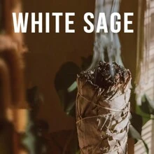1入/3入組白色鼠尾草香薰棒禮盒 - 加州鼠尾草 - 祭品與淨化棒，適用於家居淨化香薰、芳香療法、冥想、香煙儀式、假日禮品 - 灰色 - 查看 4