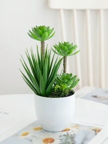 装饰性人造花 - 圆形玻璃罐多肉植物套装，无需浇水，永不凋谢 - 綠色 - 查看 2
