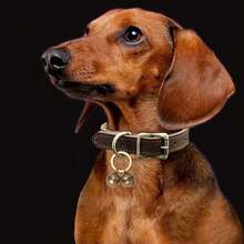 1pc Copper Bell Dog Collar With Buckle Clip, Made Of Pure Copper, Suitable For Dogs/Cats - Bronze - View 7