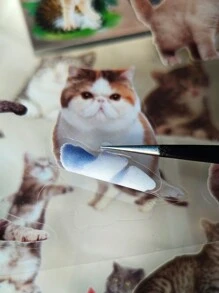 20 Sheets Vintage Funny Cat Collage PET Stickers Book DIY Diary Junk Journal Decoration Card Making Sticker Album Scrapbooking Back To School Scrapbook Supplies Funny Stickers Laptop Stickers Kindle Phone Stickers - Multicolor - View 5