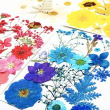 35pcs Dried Pressed Flowers For Resin Molds, Real Pressed Flowers Dry Leaves Kit For Art Crafts Resin Jewelry Making Scrapbook Supplies Card Making Soap Candle DIY Nails Decor| Valentine Day's Gift| Couple Gift| Christmas Gift Xmas Gift| Halloween Gift Decor