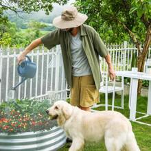 1pc Hot-Dip Galvanized Welded Chicken Wire Fence Mesh, 1/2 Inch Hardware Cloth, Raised Garden Bed Support Wire Mesh Roll, Zinc-Coated Fence Mesh For Garden Protection, Poultry Netting, Garden Fencing, Chicken Wire Fence, Floral Net - Silver - View 6