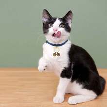 1pc Copper Bell Dog Collar With Buckle Clip, Made Of Pure Copper, Suitable For Dogs/Cats - Bronze - View 5