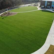 1入組人造草坪地毯，合成綠草地地毯，適用於幼稚園、婚禮、室外足球場、塑膠草坪圍欄 - 綠色 - 查看 3