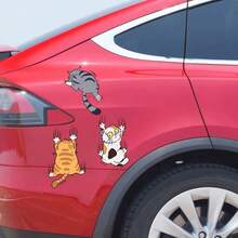 Cute Cat Car Sticker - A Must-Have For Cat Lovers - Multicolor - View 4