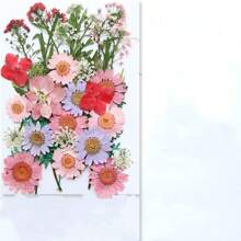35pcs Dried Pressed Flowers For Resin Molds, Real Pressed Flowers Dry Leaves Kit For Art Crafts Resin Jewelry Making Scrapbook Supplies Card Making Soap Candle DIY Nails Decor| Valentine Day's Gift| Couple Gift| Christmas Gift Xmas Gift| Halloween Gift Decor
