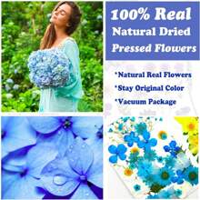 35pcs Dried Pressed Flowers For Resin Molds, Real Pressed Flowers Dry Leaves Kit For Art Crafts Resin Jewelry Making Scrapbook Supplies Card Making Soap Candle DIY Nails Decor| Valentine Day's Gift| Couple Gift| Christmas Gift Xmas Gift| Halloween Gift Decor