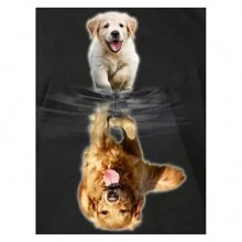 طقم رسومات الماس 5D الجاهزة للحيوانات القطط والكلاب والطيور والفهود نموذج كامل مربع أو دائري من الماس الفسيفساء للبالغين هدية يدوية لديكور المنزل