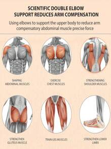 1 件肘部支撑自动回弹腹肌轮，腹部锻炼机腹肌滚轮，腹肌锻炼器材，核心力量训练器家庭健身腹肌训练器（非计数版） - 彩色 - 查看 5