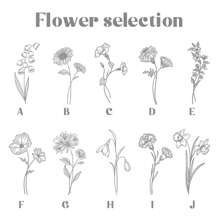 Separador de libros personalizado con la flor de nacimiento, separador de libros floral personalizado para mujeres, regalo de separador de libros de acrílico, separador de libros con nombre, separador de libros estético con borla, regalo para ella regreso a la escuela, ornamental, multifuncional, regalos ideales para él, regalos ideales para ella, novio, novia, familia, amigos, niños, trabajadores, estudiantes, clientes, para ella, para negocios/trabajo/oficina, para la escuela, regreso a la escuela, regreso a la escuela, útiles escolares