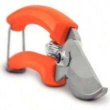 Gardening Tools - trái cam - Xem 4