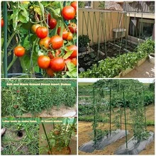 植物攀爬杆，DIY花園植物攀爬杆配件，攀爬植物用網格，適用於戶外種植番茄、蔬菜、水果、柵欄、豆類等。 - 多色 - 查看 12