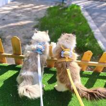Correas para mascotas con forma de dibujos animados lindas para gatos y perros, incluyendo una correa con forma isósceles, una correa suave y amigable para gatos con forma de abeja, correa con forma de conejito y perro, diseño antiescape - Multicolor - Ver 12