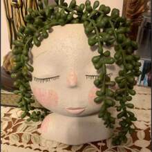 1 pieza/4 piezas Plantas suculentas artificiales colgantes, plantas verdes falsas tipo "collar de perlas" para decoración de pared, hogar, jardín y exterior (cada uno de 27 pulgadas de largo). Plantas suculentas colgantes artificiales tipo "collar de perlas" para decoración del hogar y el jardín (macetas no incluidas), regalos de cumpleaños y graduación