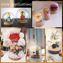 2 Sets Round Glass Display Dome Mini Glass Cloche Dome Clear Glass Plant Terrarium Decor With Cork Base 3.94" In Diameter Jar Cloche For Flower Aquarium Christmas Party Office Home Decor