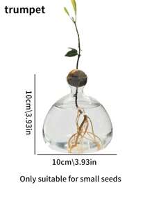 1 件鳄梨水培玻璃花瓶，鳄梨坚果种子种植容器，水培植物花瓶，插花容器，适用于家居装饰、植物研究、卧室装饰和桌面装饰、家居装饰、花瓶、中心装饰、桌面装饰 - 無色 - 查看 10