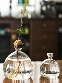 1 件鳄梨水培玻璃花瓶，鳄梨坚果种子种植容器，水培植物花瓶，插花容器，适用于家居装饰、植物研究、卧室装饰和桌面装饰、家居装饰、花瓶、中心装饰、桌面装饰 - 無色 - 查看 3