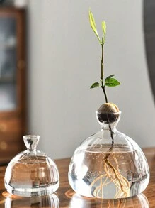 1 件鳄梨水培玻璃花瓶，鳄梨坚果种子种植容器，水培植物花瓶，插花容器，适用于家居装饰、植物研究、卧室装饰和桌面装饰、家居装饰、花瓶、中心装饰、桌面装饰 - 無色 - 查看 6
