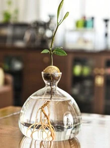 1 件鳄梨水培玻璃花瓶，鳄梨坚果种子种植容器，水培植物花瓶，插花容器，适用于家居装饰、植物研究、卧室装饰和桌面装饰、家居装饰、花瓶、中心装饰、桌面装饰 - 無色 - 查看 4