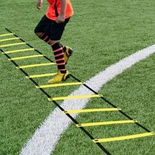 1pc Agile Ladder, Agile Speed Trainer, Can Be Carried Around, Suitable For Indoor And Outdoor And Other Places, Widely Used In Ball Games, Fitness Sports, Etc., Born For Sports! - Multicolor - View 4