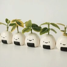 Bình hoa mini 5 chiếc MOUGIGI, lọ cơm gốm thủ công (Onigiri Nhật Bản) Bình hoa thu nhỏ, thiết kế duyên dáng và dễ thương, hoàn hảo cho hoa khô - Bình hoa số lượng lớn, hàng thủ công Nhật Bản độc đáo và đáng yêu - Bình cơm nắm 5 chiếc - Xem 3