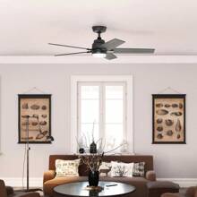 Hunter Rapidan LED 52" Ceiling Fan - Nhiều màu - Xem 5