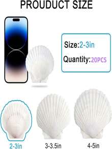20PCS Scallop Shell White Natural Shell,DIY Craft Mermaid Beach Wedding Home Decor (2-3 Inches) - Multicolor - View 9