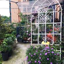 4 Pack Metal Garden Trellis 71" X 19.7" Rustproof Trellis For Climbing Plants Outdoor Flower Support Cream White - 1 - 查看 3