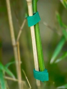 1/5/10/20 件随机颜色藤蔓植物形状钩环花园绑带，带双面胶园艺扭带，用于支撑、插花和紧固装饰秋季装饰节日装饰房间装饰家居装饰秋季装饰卧室装饰 - 彩色 - 查看 4