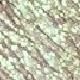 Ophiuchi