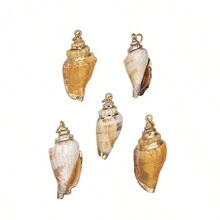 5入組自然金箔邊鮑魚貝殼螺形螺殼海洋風格彩色貝殼吊墜項鍊，時尚DIY珠寶風鈴項鍊和手鍊，男女均可 - 5pc吊墜 - 查看 21