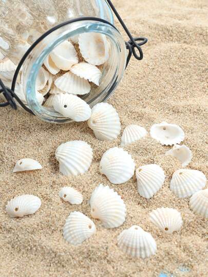1pack Exquisite Small White Natural Seashells With Holes, DIY Materials For Making Miniature Landscapes, Candle & Fish Tank Decoration, Plastic Necklace Accessory For Beach Vacation Crafts