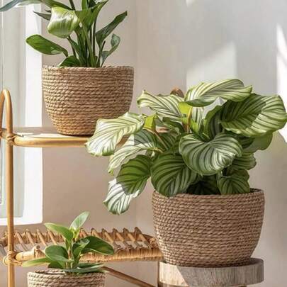 3个装草编花盆，简约实心盆栽植物容器，家用 + 新款4个装草编花盆