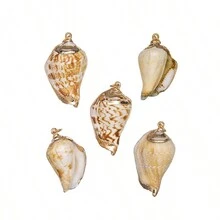 5入組自然金箔邊鮑魚貝殼螺形螺殼海洋風格彩色貝殼吊墜項鍊，時尚DIY珠寶風鈴項鍊和手鍊，男女均可 - 5pc吊墜 - 查看 28
