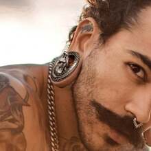 2PCS Hot Coiled Cobra Saddle Hangers Ear Gauges Plugs For Stretched Lobe Ear Tunnels Gauges Piercing Women Body Jewelry